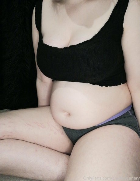 chubbycanary OnlyFans Model Bilder
