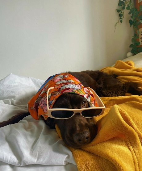 Helayna Birkett OnlyFans-Creator