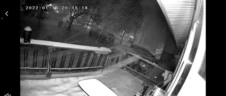 lavellkingentertainment OnlyFans explizite Inhalte