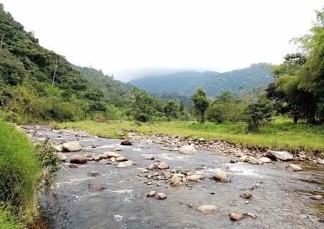 avliequeena Nacktbilder von OnlyFans geleakt