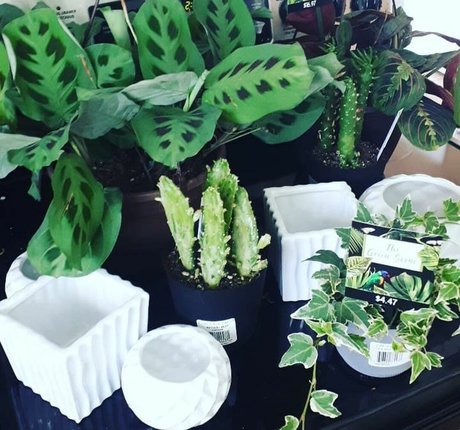 dünner arsch nur fans kostenloser Sex Hinter-den-Kulissen