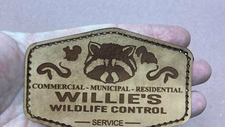 ricksangelsfree Titten OnlyFans