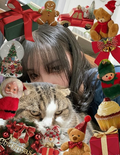 anad df Titten OnlyFans