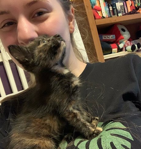 Casey The Gamer Only ...