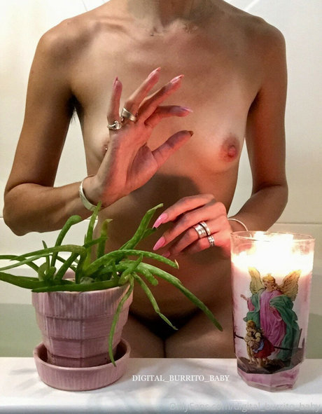 Digital burrito baby 