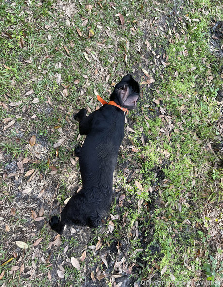 bri wynters Leaked OnlyFans Content