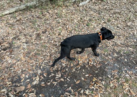 bri wynters OnlyFans Pornografie