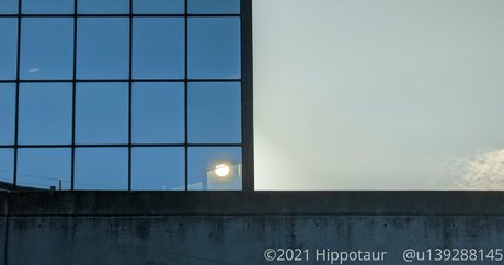 hippotaur Nackt geleakt OnlyFans