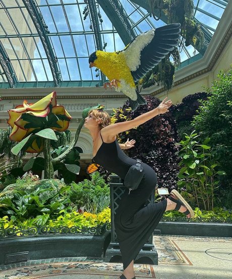 KallMeKris OnlyFans Inhaltstyp