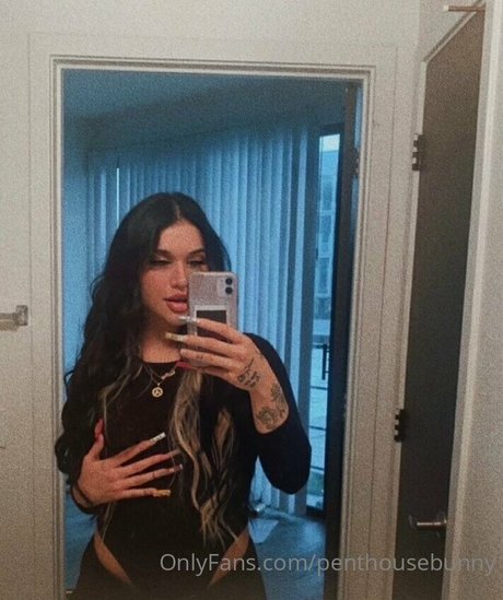 penthousebunny Sextape OnlyFans Nacktbilder