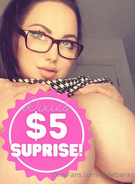 dixiebanks Füße OnlyFans