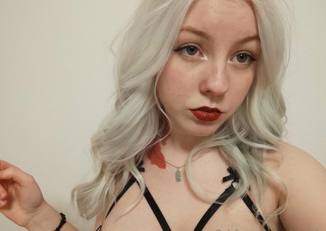 molybrooks Profilbild