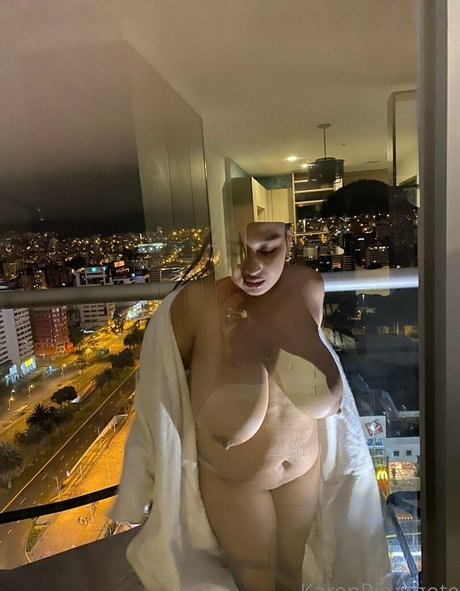 Karen Pinargote Torres NurlyFans-Brüste