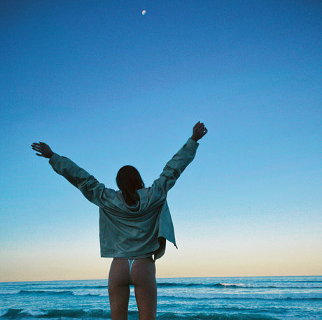 seasharkcensored OnlyFans