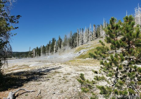 mccoywhatsername OnlyFans Sextape