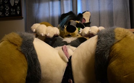 crownmutt Leak von OnlyFans-Inhalten