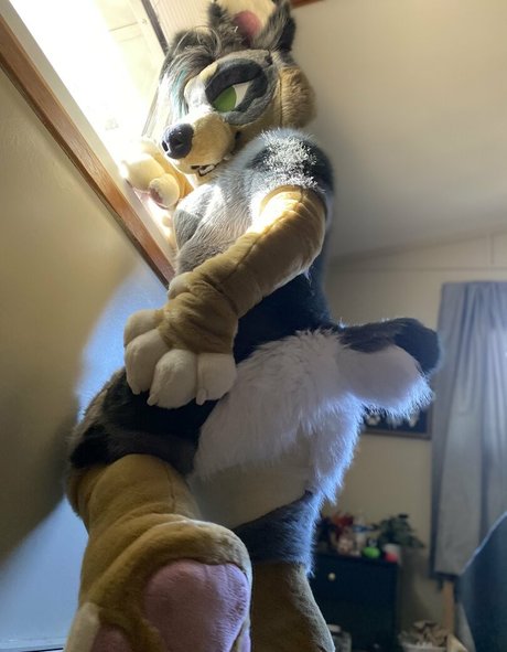 crownmutt OnlyFans-Fotos