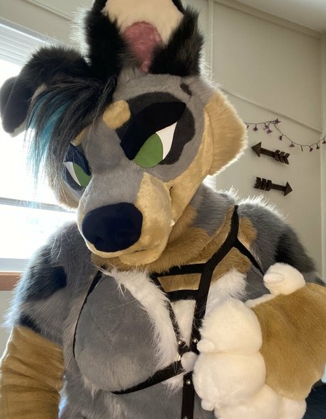 crownmutt Kostenlose OnlyFans-Pornos