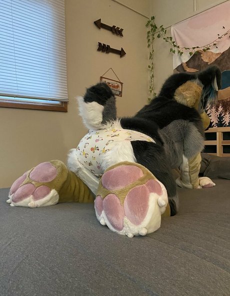 crownmutt Nacktbilder von OnlyFans geleakt