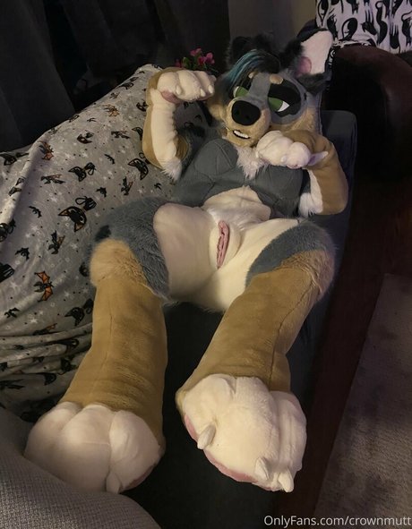 crownmutt Leaks OnlyFans