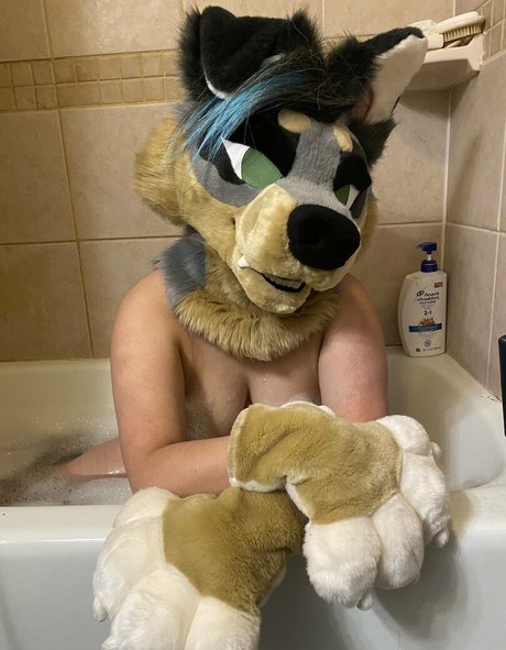 crownmutt OnlyFans-Fotos