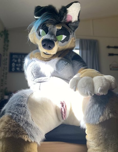 crownmutt Heiße OnlyFans Inhalte