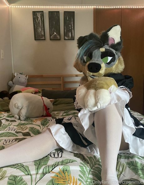 crownmutt OnlyFans XXX