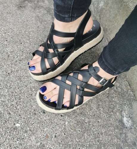 kaybeesfeets OnlyFans