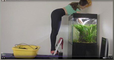 misaonair Nacktbilder geleakt OnlyFans