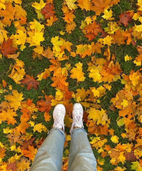 Gulia OnlyFans Bilder