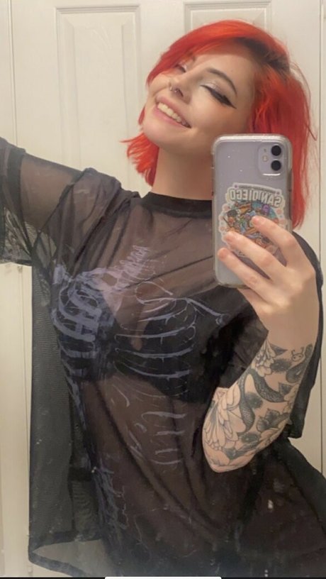 Catssnap Nur für Fans