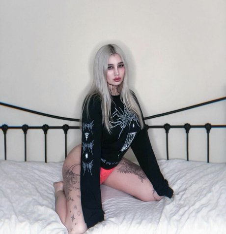 valyrian x x x Profilbild