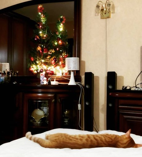 Leka Galkinstein Unzensiert OnlyFans