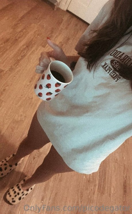 Picodegator OnlyFans Sex