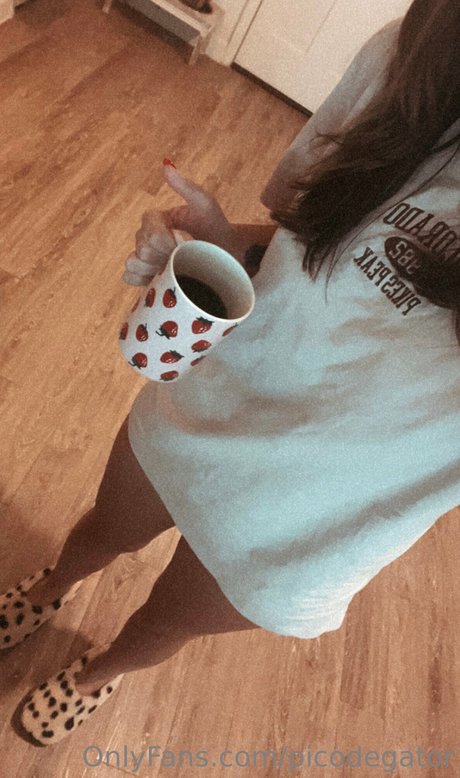 Picodegator NurlyFans-Pornos