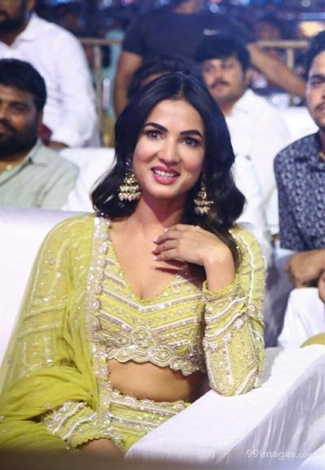 Sonal Chauhan OnlyFans Bilder