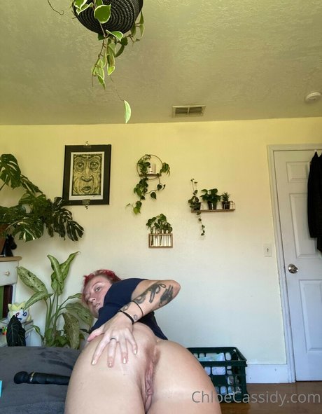 Chloe Cassidy Kostenloses OnlyFans