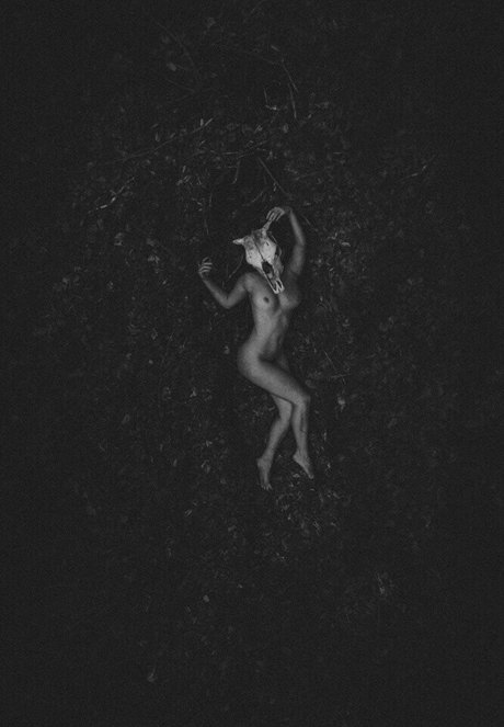 thinloth Nacktbilder OnlyFans Leak