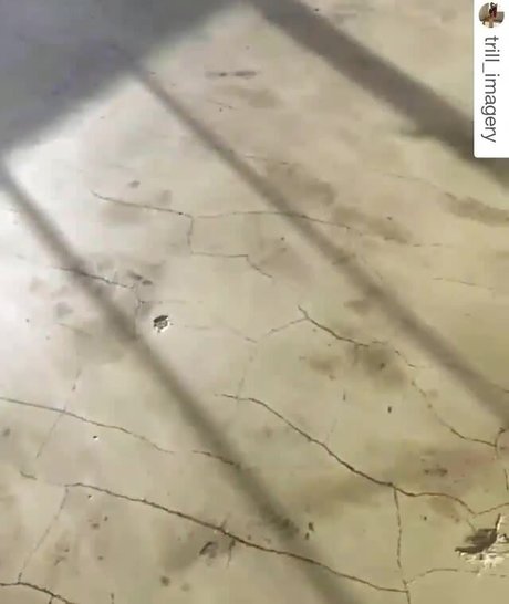 Ela Pasion Nacktbilder geleakt OnlyFans