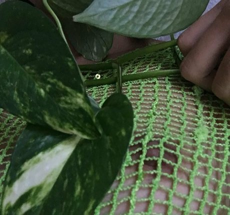 harami mami OnlyFans-Seite