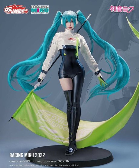 Vikuli OnlyFans Leak