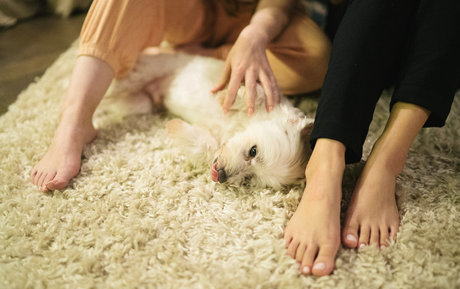 Vivienne Law Nacktpornos auf OnlyFans