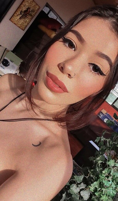 Anmongero OnlyFans Brüste Bild