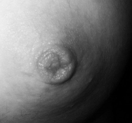 Fre4 zy OnlyFans Pornografie