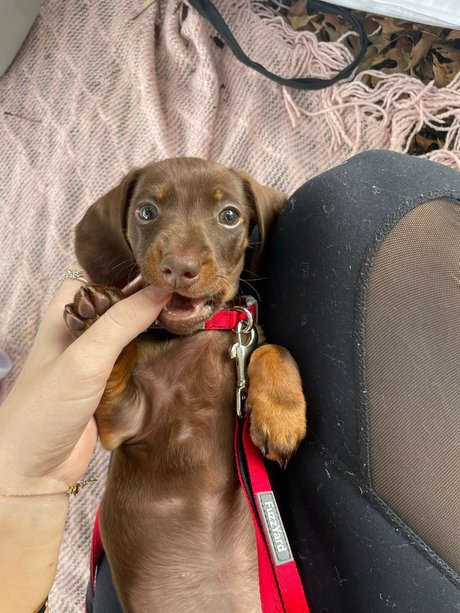 Alliyah Nackt OnlyFans Porn