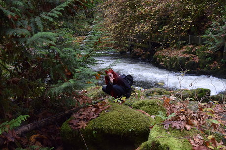 Bella Tha Killa OnlyFans Inhalte