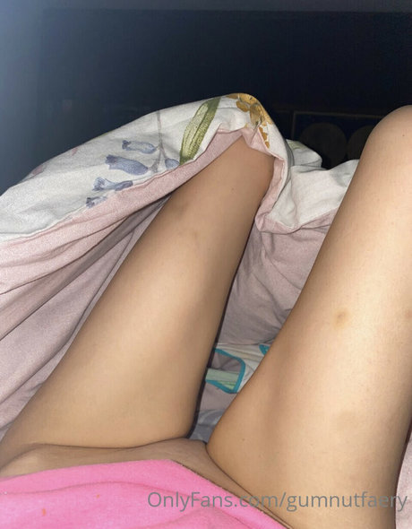 GUMNUTFAERY Profilbild