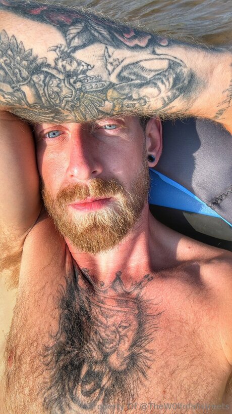 Thew0lfofallstreets Nacktbilder von OnlyFans