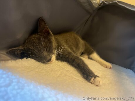 Angelsky 777 OnlyFans Nackt
