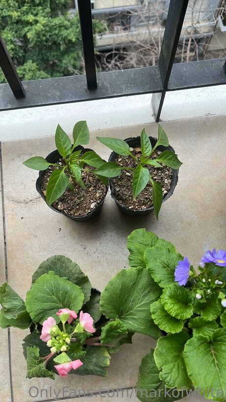 Markofwhite Nackt OnlyFans